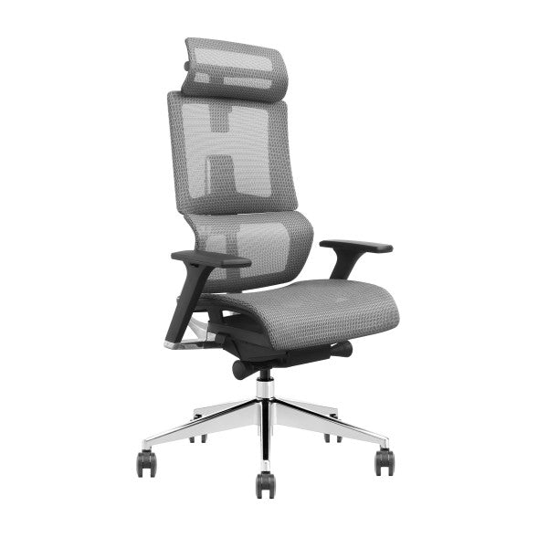 SKILLCHAIRS X6-BH-01 (Gray) SKILLCHAIRS X6-BH-01 (Gray)